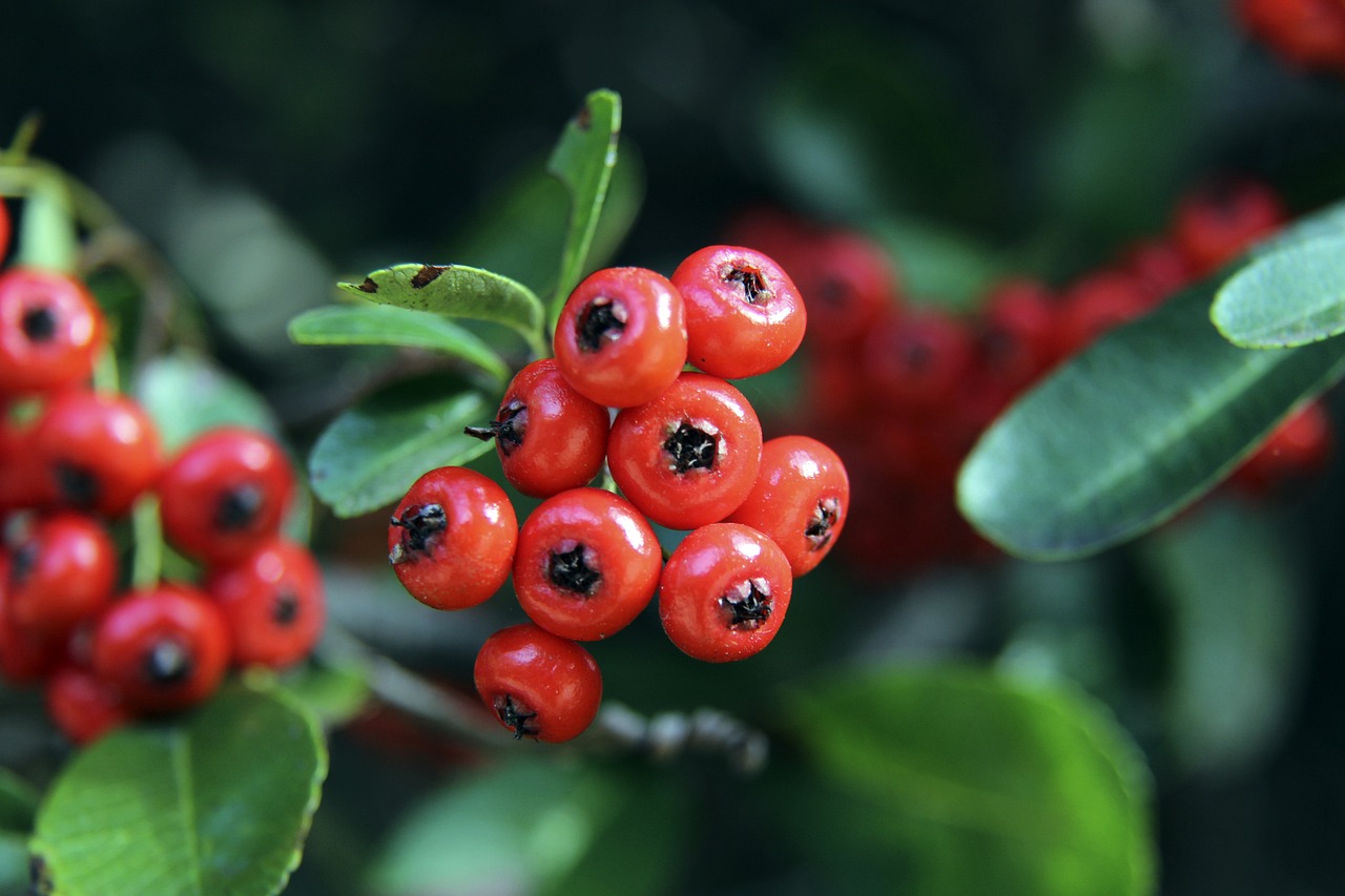 班人的交接 班人的交接